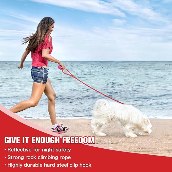 Nylon Rope Dog Leash Reflective, Handmade Braided Strong Dog Lead, Heavy Duty Rope Leash for Medium Large Dogs (5 FT - 3/5" Red)