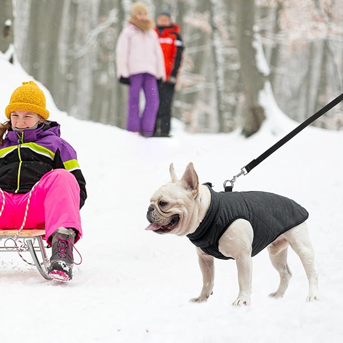 SCENEREAL Winter Dog Vest Coat with Harness Built In, Warm Puppy Jacket for Small Medium Dogs, Cold Weather Coat with Zipper, Fleece Puffer Vest Windproof Snow Clothes