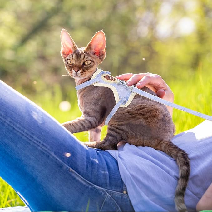 TIESOME Cat Harness and Leash Set, Adjustable Gradient Kitten Harness Escape Proof Harness with Leash for Kitty Outdoor Walking (Bear)
