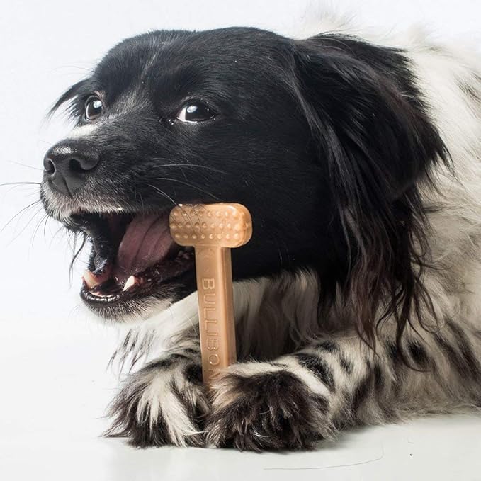 Bullibone Nylon Dog Chew Toy Nylon Bone - Improves Dental Hygiene, Easy to Grip Bottom, and Permeated with Flavor (Beef, Small - 3 Pack)