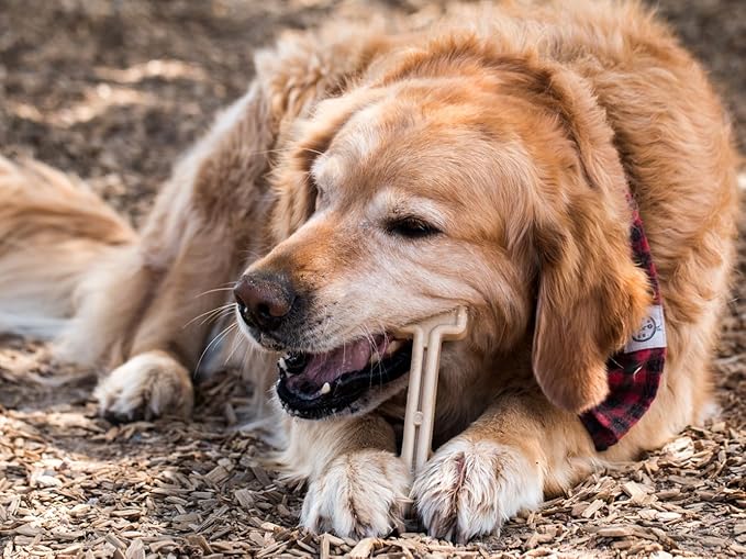 Bullibone Nylon Dog Chew Toy Nylon Bone - Improves Dental Hygiene, Easy to Grip Bottom, and Permeated with Flavor (Large - 3 Pack, Chicken)