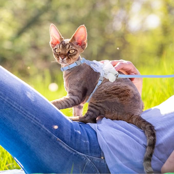 TIESOME Cat Harness and Leash Set, Adjustable Gradient Kitten Harness Escape Proof Harness with Leash for Kitty Outdoor Walking (Ribbon Bear Blue)
