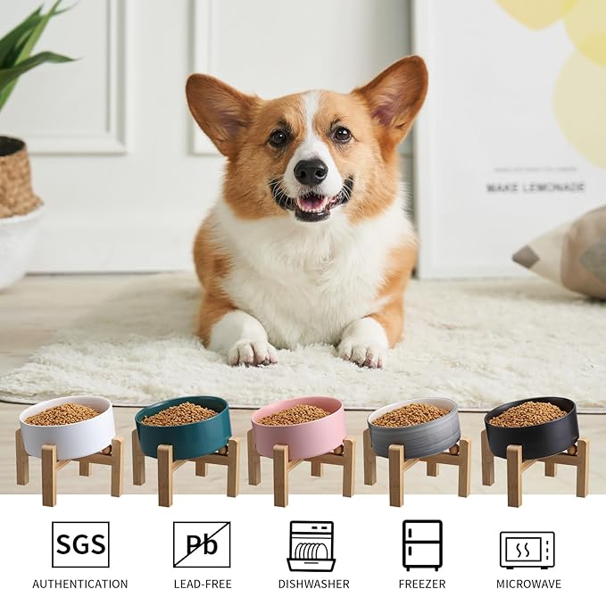 Pink Elevated/Raised 15°Tilted Anti Slip Ceramic Dog Bowl for Medium & Large Breeds,Slanted Bulldog Big Face Pet Food Water Feeding Dish with Stand (7.6 Cups/60OZ)