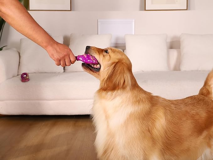 WinTour Dog Chew Toys for Aggressive Chewers 3 Pack, Indestructible Dog Toy to Keep Them Busy, Tough Dog Toys for Aggressive Chewers for Small, Medium and Large Breeds, Beef Flavor, Purple