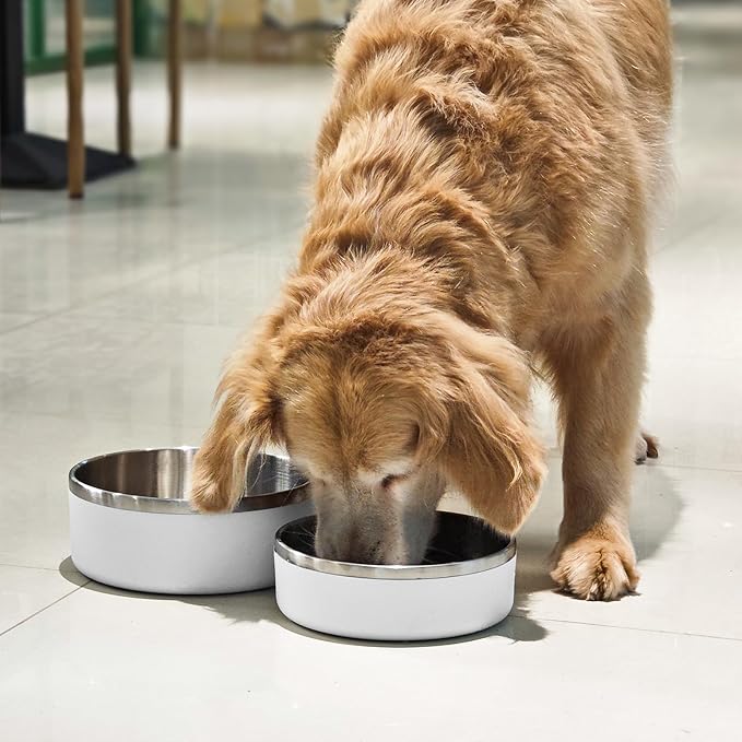 LIANLAI Stainless Steel Dog Bowls, Rust-Resistant Pet Bowls, Non Slip Dog Water Bowl, Versatile Feeding Bowls (White,64 oz)