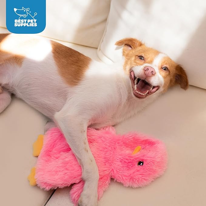 Best Pet Supplies Interactive Squeaky Dog Chew Toy, Ideal Dog Toys for Chewers, Small, Medium & Large Dogs, and Fetch Lovers - Crinkle Chicken (Yellow, Pink, Blue), Large