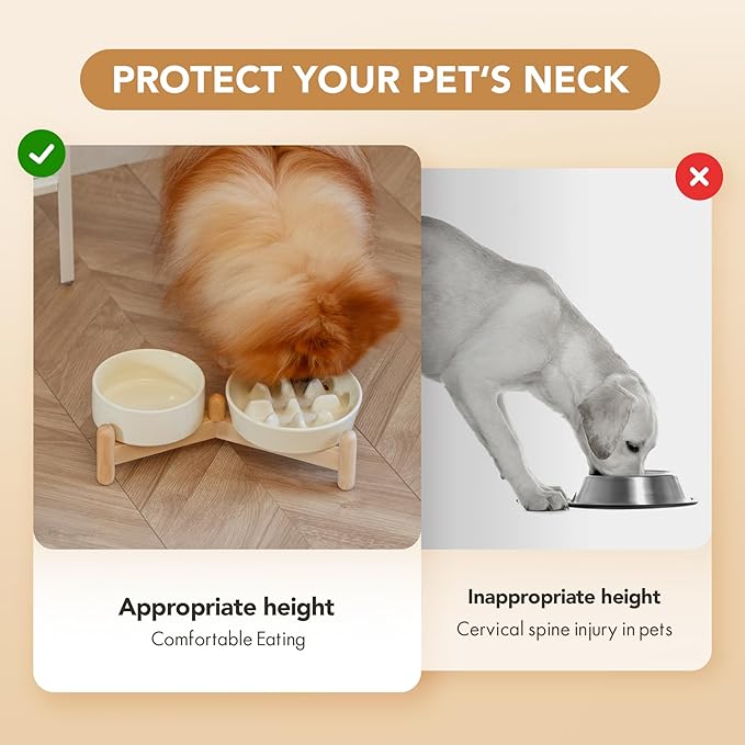 Ceramic 0.9 Cup Raised Slow Feeder Dog Bowl Set, Elevated 5.1inch Bowl and 6.1inch Slow Pet Food Dish with Wooden Stand for Small Dog and Cat (2 x Beige+ Stand)