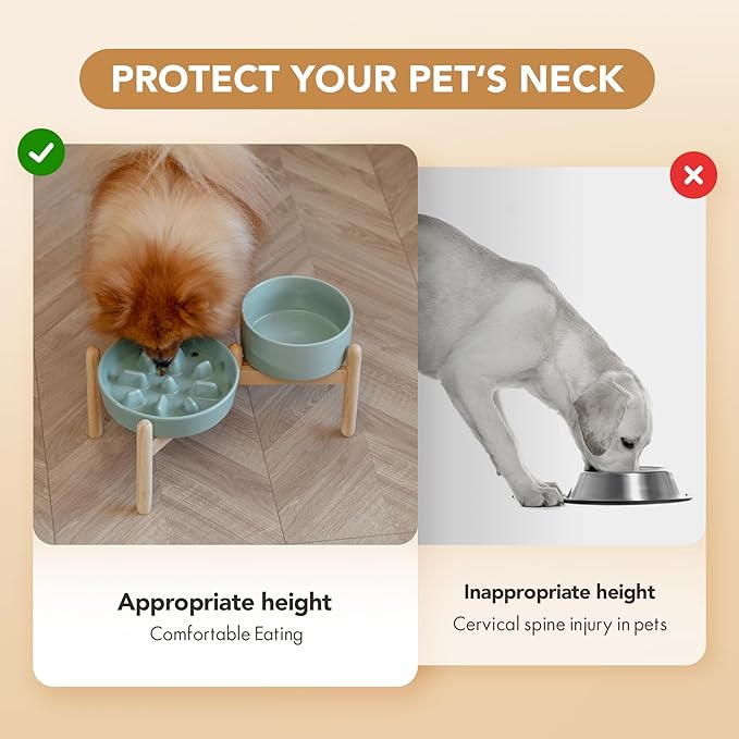 Ceramic 1.2 Cup Raised Slow Feeder Dog Bowl Set, Elevated 6.1inch Bowl and 7.3inch Slow Pet Food Dish with Wooden Stand for Small and Medium Dog (2 x Light Green+ Stand)