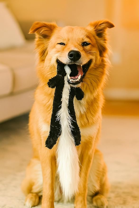 Squeaky Plush No-Stuffing Dog Toys, 4-Pack Animal Set, Fox Tiger Skunk Raccoon, Small & Medium Dogs