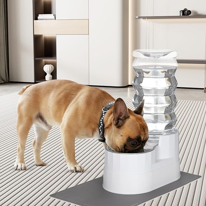 RIZZARI Automatic Dog Water Dispenser:8L Lagre Stainless Steel Raised Pet Water Bowl Gravity Feeder with Filter & Waterproof Mat - Indoor/Outdoor Pet Feeder