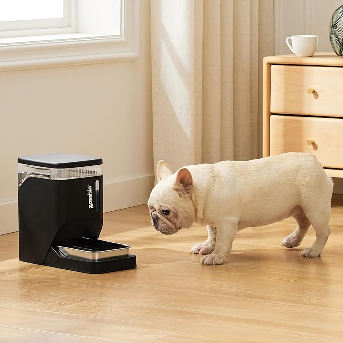 Automatic Cat and Dog Water Dispenser 6L with Stainless Steel Bowl, Gravity Water Bowl for Dogs Cats, 1.6 Gallon Pet Waterer 100% BPA Free, Black