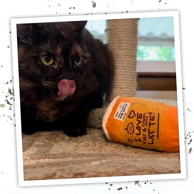 Meowijuana Refillable Cat Toys | Get Spooked Bundle - Scarecrow, Pumpkin, Pumpkin Spice Latte Catnip Toys | Includes Potent Hand Harvested Catnip Grown in North America | Promotes Play