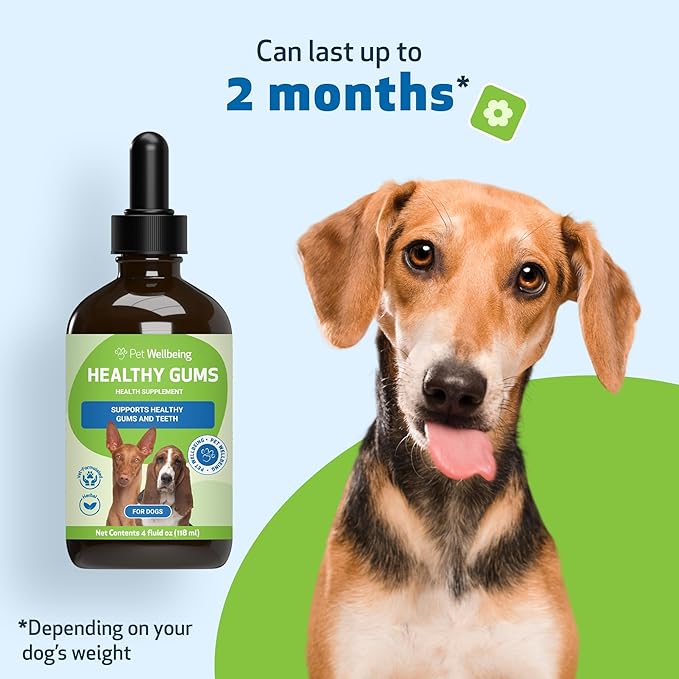 Pet Wellbeing Healthy Gums for Dogs - Topical Drops for Oral Care, Dental Health & Fresh Breath - NASC Certified & Vet-Formulated - 4 oz Liquid