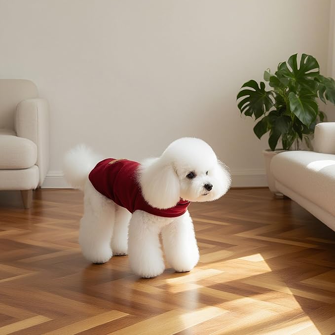 EXPAWLORER Soft Cat Sweater - Sweaters for Cats Only Warm Kitten Clothes, Fall and Winter Pet Coat Pullover Design, Fleece Sweatshirt Clothing Also for Puppy Small Dogs, Red Large