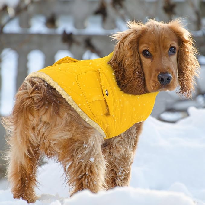 Queenmore Dog Winter Coat Warm Puffer Jacket Waterproof Plush Lining Thermal Cold Weather Vest for Small Medium Large Dogs, Windproof Easy On Pet Jacket Yellow XS