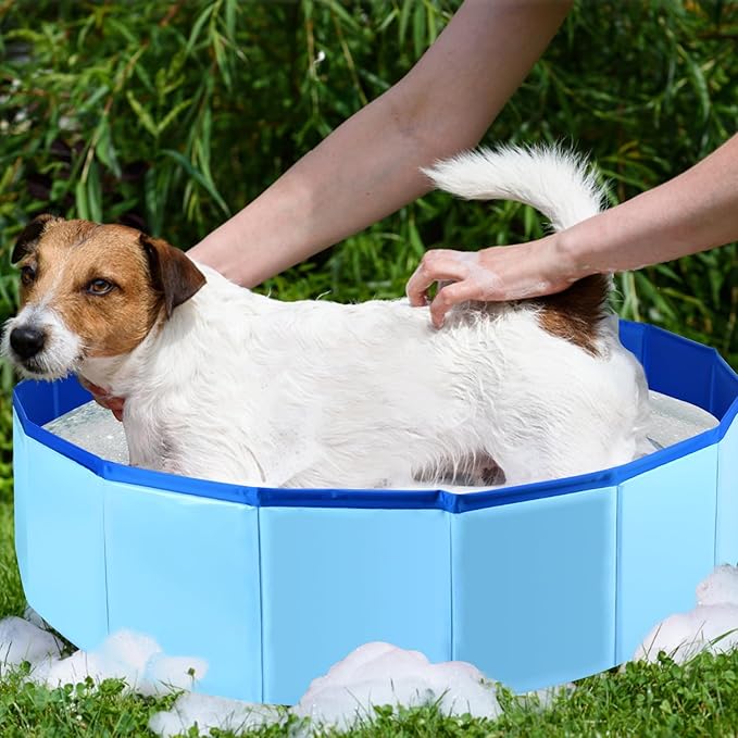 Enenes Foldable Dog Pool 24x8 Inch Portable PVC Pet Swimming Pool & Bath Tub, Collapsible Ball Pit for Indoor/Outdoor Use, Puppy Bath Tub for Dogs, Cats, Puppies
