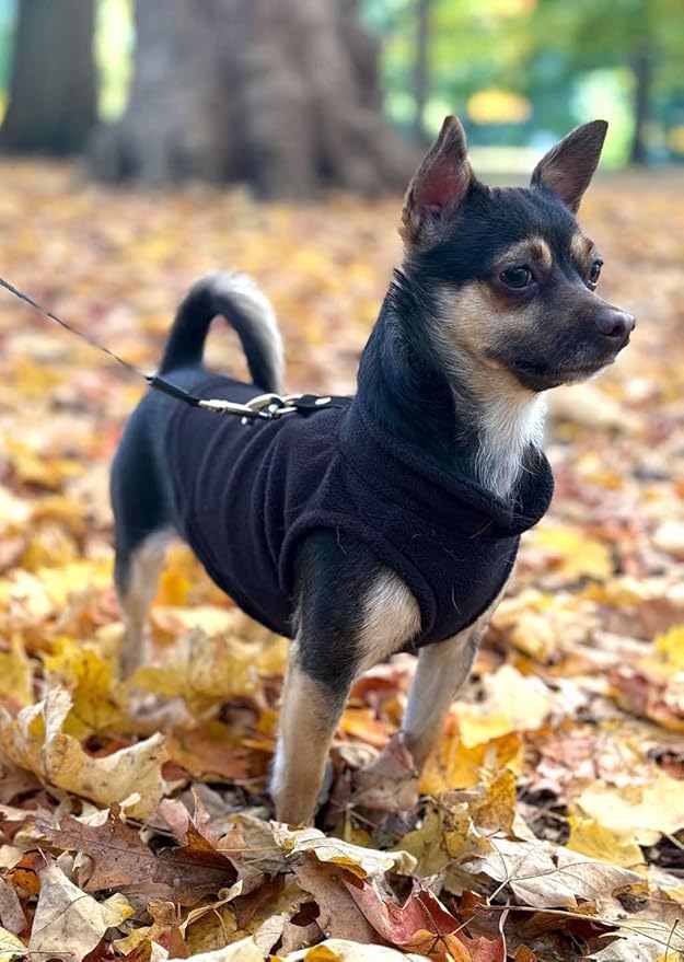 JACKO & CO - Fleece Vest Dog Sweater with Leash Ring - Soft, Warm & Lightweight Pullover Coat for Small & Medium Dogs, Puppies & Cats - Cozy Fall/Winter/Spring Pet Jacket (Black, Medium 6-10lbs)