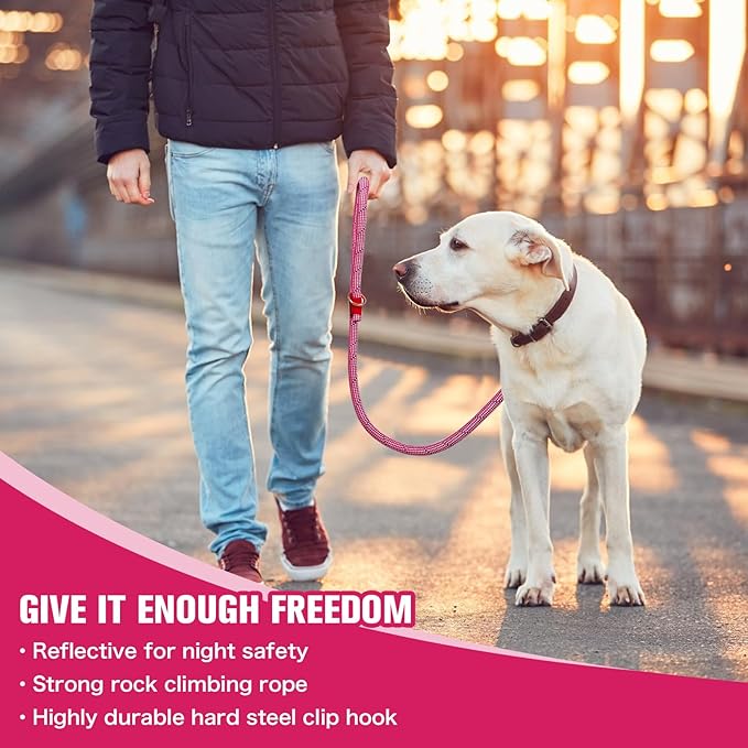 Nylon Rope Dog Leash Reflective, Handmade Braided Strong Dog Lead, Heavy Duty Rope Leash for Medium Large Dogs (5 FT - 3/5" Rose Red)