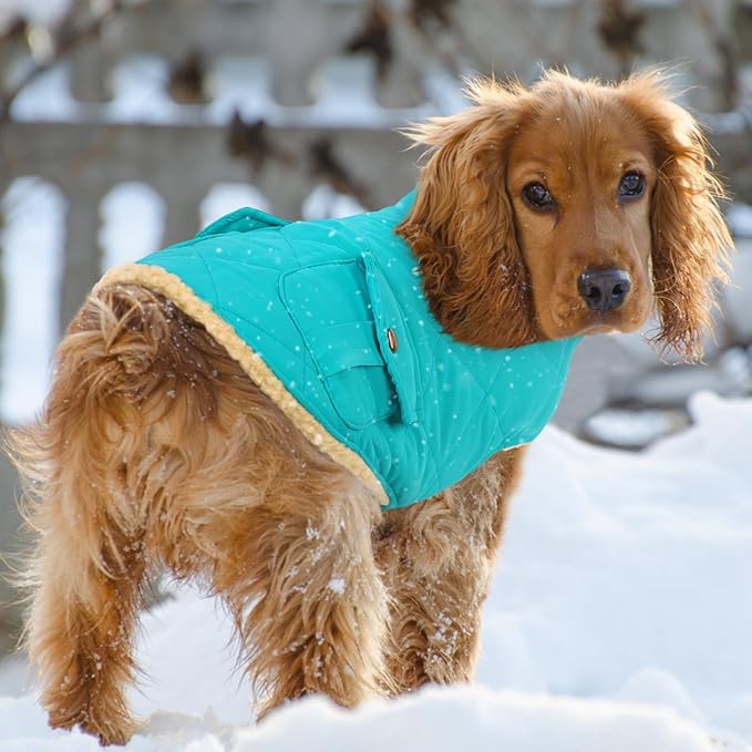 Queenmore Warm Dog Coat, Cold Weather Puffer Dog Coat Vest, Quilting Winter Pet Jacket Ultra Thick Plush Fleece Lining Pet Clothes for Dogs with Storage Pockets (Light Blue,X-Large)