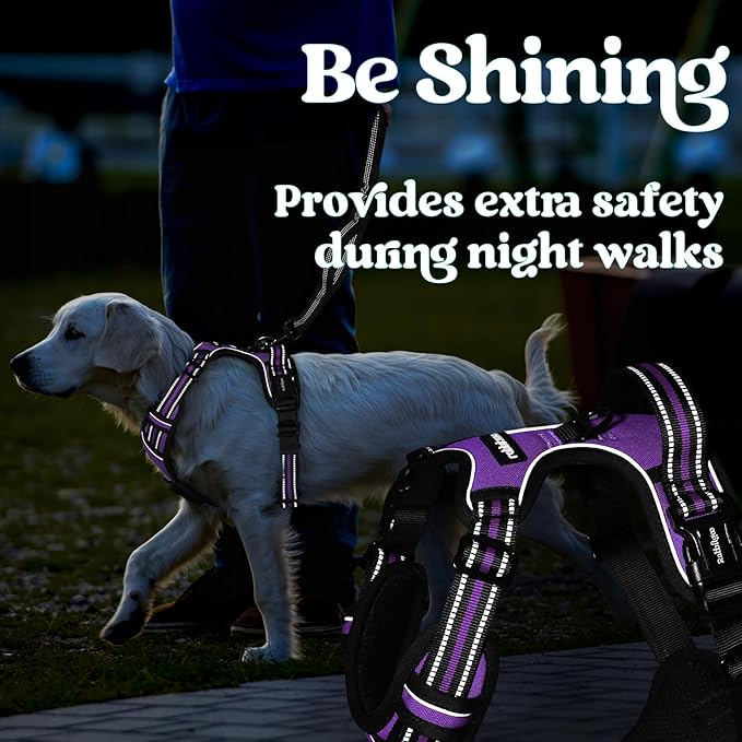 rabbitgoo Dog Harness for Large, No Pull Pet Harness with 3 Buckles, Adjustable Soft Padded Vest with Control Handle, Walking Reflective Pet Vest for Large Dogs, Purple, L