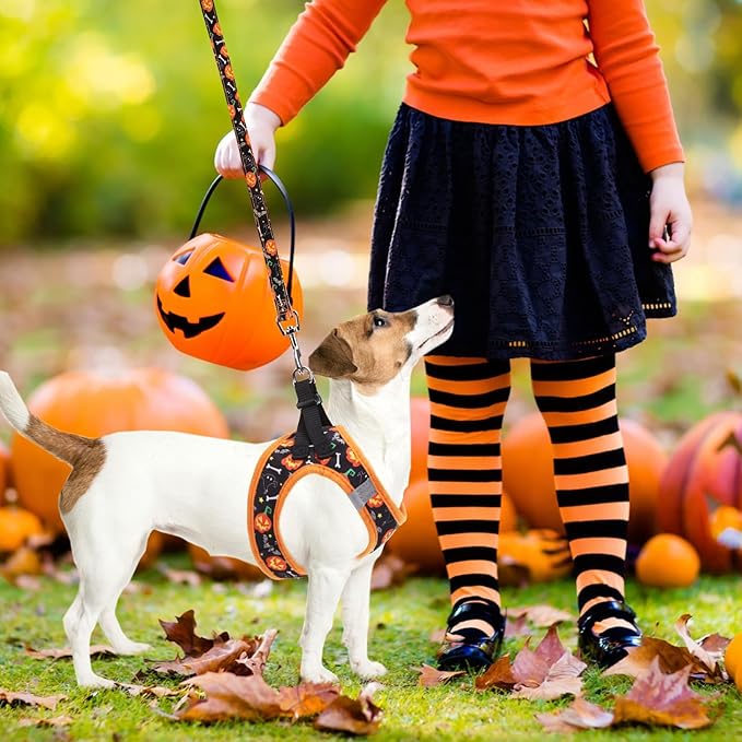 PUPTECK Adjustable Dog Harness Collar and Leash Set Step in No Pull Pet Harness for Small Medium Dogs Puppy and Cats Outdoor Walking Running, Soft Mesh Padded Reflective Vest Harnesses, Halloween, M