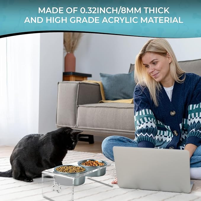 Raised Cat & Dog Bowl, Elevated Pet Feeding Station with 15 Tilted Neck Protective Acrylic Stand, Double Stainless Steel Bowls, for Small, Medium, Large Cats & Dogs