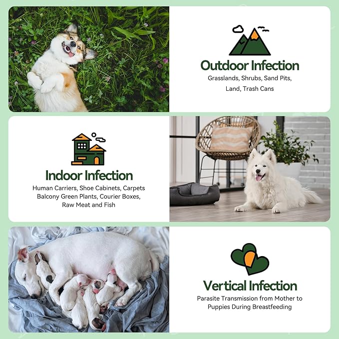 Flea and Tick Prevention for Dogs - 200 Chews Natural Dog Flea and Tick Support, Oral Flea Supplement for All Dogs, Supports Healthy Skin & Coat, Puppy Flea Protection - Chicken Flavor