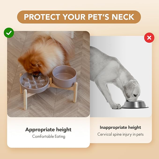 Ceramic 1.2 Cup Raised Slow Feeder Dog Bowl Set, Elevated 6.1inch Bowl and 7.3inch Slow Pet Food Dish with Wooden Stand for Small and Medium Dog (2 x Brown Coffee+ Stand)