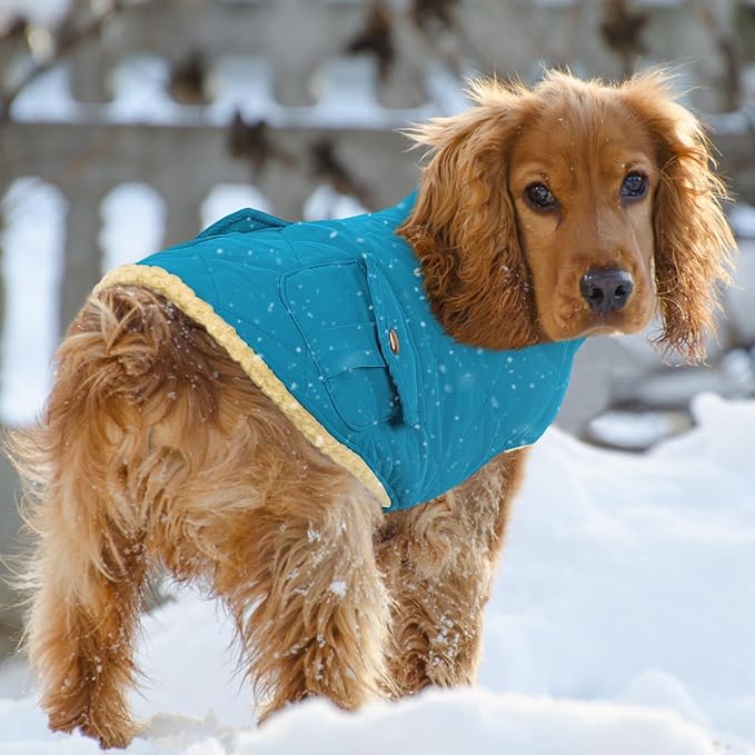 Queenmore Dog Winter Coat Warm Puffer Jacket Waterproof Plush Lining Thermal Cold Weather Vest for Small Medium Large Dogs, Windproof Easy On Pet Jacket Blue L