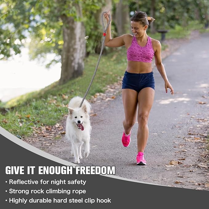 Nylon Rope Dog Leash Reflective, Handmade Braided Strong Dog Lead, Heavy Duty Rope Leash for Medium Large Dogs (5 FT - 3/5" Silver Grey)