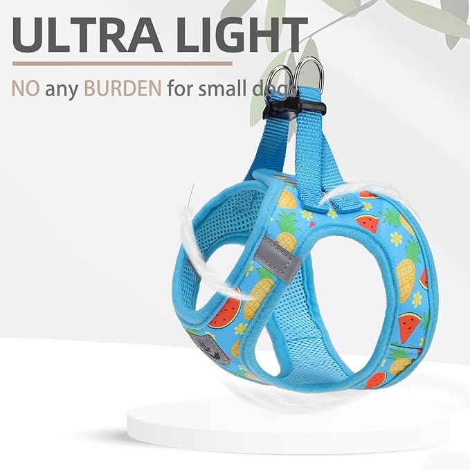 PUPTECK Adjustable Dog Harness Collar and Leash Set Step in No Pull Pet Harness for Small Medium Dogs Puppy and Cats Outdoor Walking Running, Soft Mesh Padded Reflective Vest Harnesses, Sky Blue S