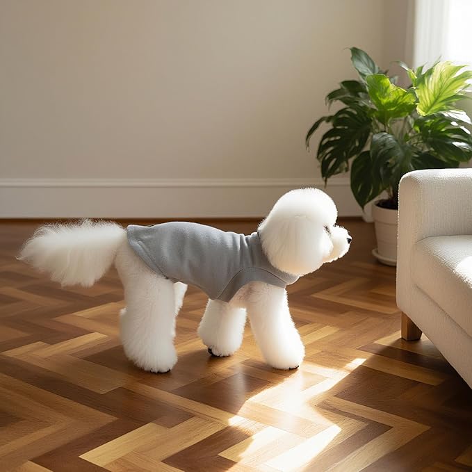 EXPAWLORER Soft Cat Sweater - Sweaters for Cats Only Warm Kitten Clothes, Fall and Winter Pet Coat Pullover Design, Fleece Sweatshirt Clothing Also for Puppy Small Dogs, Grey Large