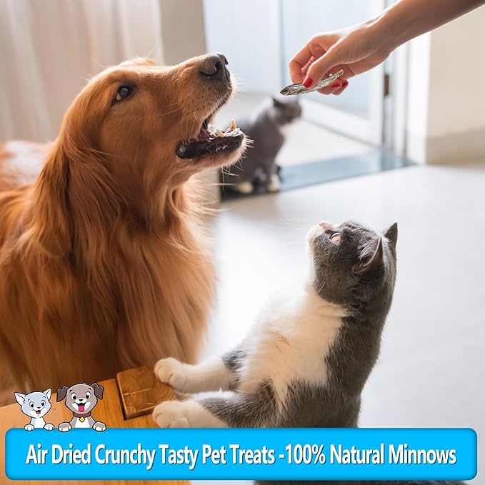 Minnows, 100% Natural Air Dried Minnows for Dog & Cat, Grain-Free, High-Protein, 100% Natural Premium Cat & Dog Treats 4.5 oz