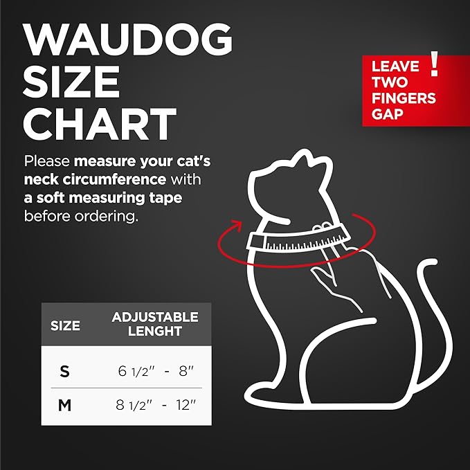 Leather Cat Collar with Bell & Elastic Strap - Pet Collar Leather - Kitten Collar - Small & Big Cat Collar for Boy & Girl Cats with Safety Elastic Strap (Blue, 8" - 12")