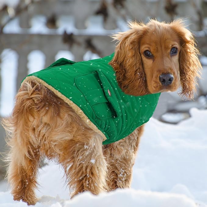 Queenmore Warm Dog Coat, Cold Weather Puffer Dog Coat Vest, Quilting Winter Pet Jacket Ultra Thick Plush Fleece Lining Pet Clothes for Dogs with Storage Pockets (Forest Green, Small)