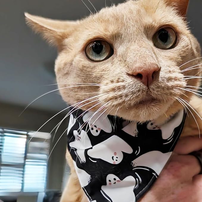 Halloween Dog Bandanas Black Ghost Spooky Boo Costumes, Cute Holiday Triangle Pet Scarf with Snap Button for Boys, 75lbs+, Extra Large Breed