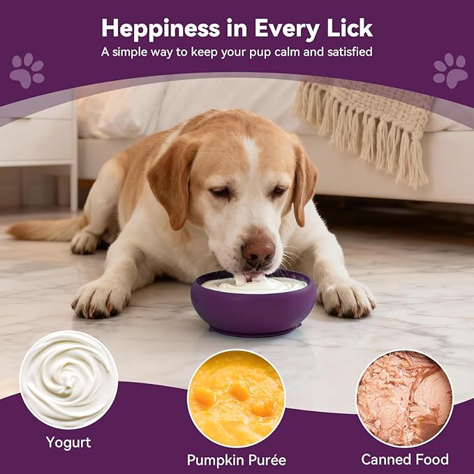 Slow Feeder Dog Bowl, BPA-Free Silicone Lick Mat for Small and Medium Dogs, Non-Slip & Dishwasher Safe (Package)