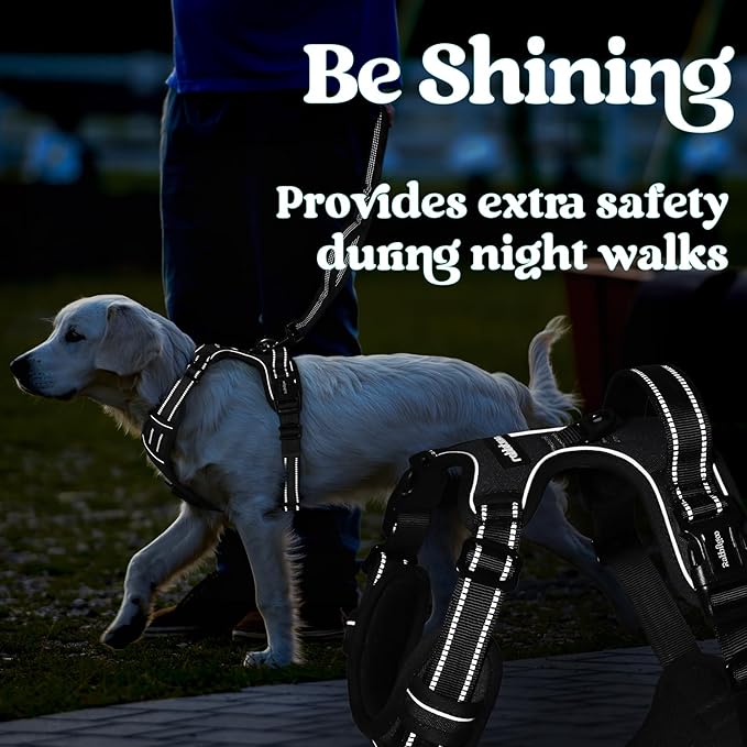 rabbitgoo Dog Harness Medium Sized, No Pull Pet Harness with 3 Buckles, Adjustable Soft Padded Vest with Control Handle, Walking Reflective Pet Vest for Medium Dogs, Black, M