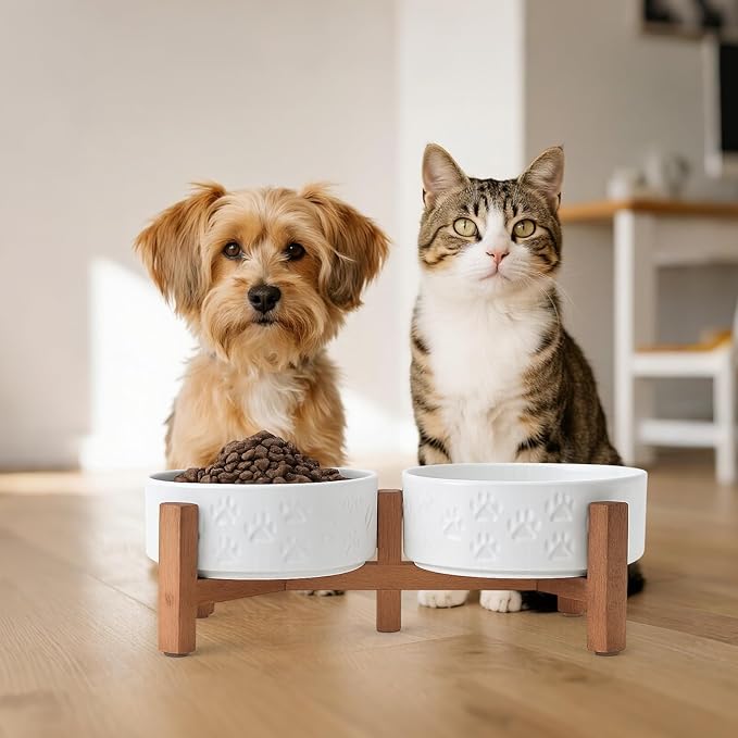 SPUNKYJUNKY Ceramic Elevated Dog Bowl Set with Acacia Wood Stand for Food and Water for Cats and Small Dogs (13.52 OZ, White, Dog Paw Pattern)