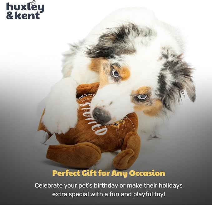 Huxley & Kent Funny Dog Toy w/Squeaker – Thanksgiving Fall Power Plush Squeaky Dog Toys for Small, Medium & Large Dogs – Soft Stuffed Animal for Indoor Play & Fetch - I'm Stuffed Turkey, Large