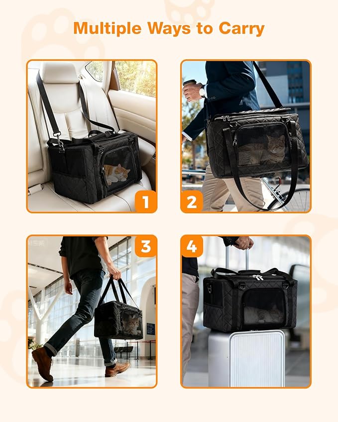 PETUX Airline Approved Cat Carrier for Small Cat - 16" x 10" x 9.5", Double Anti-Escape, Collapsible, Underseat, Under 10 lb with Removable Snack Bag, Safety Buckle, Leash - Ideal for Travel - Black