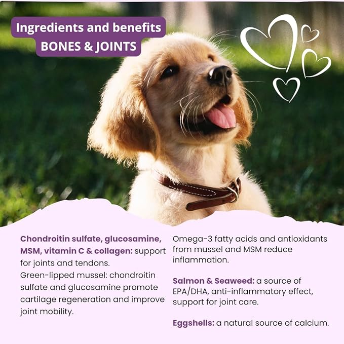 Bone and Joint Supplement for Dogs with Green-Lipped Mussel, MSM, Glucosamine, Chondroitin & Omega-3 | 100-120 PCS of Chews for All Breeds Size