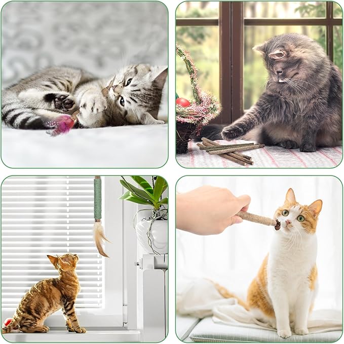 Bissap 16 PCS Silvervine Chew Sticks for Cats, Catnip Chew Sticks Cat Toys for Indoor Cat Kitten Teeth Grinding Interactive Feather Toys for Aggressive Chewers Dental Care
