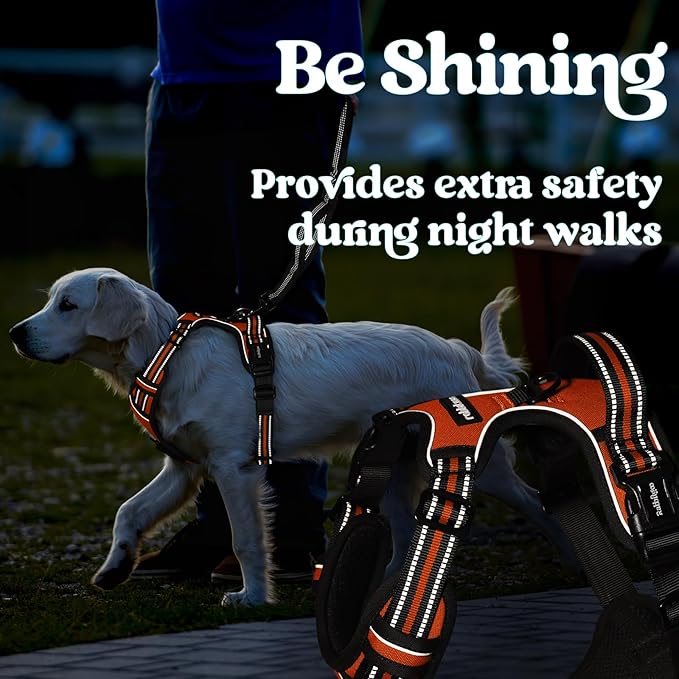 rabbitgoo Dog Harness for Large, No Pull Pet Harness with 3 Buckles, Adjustable Soft Padded Vest with Control Handle, Walking Reflective Pet Vest for Extra Large Dogs, Orange, XL