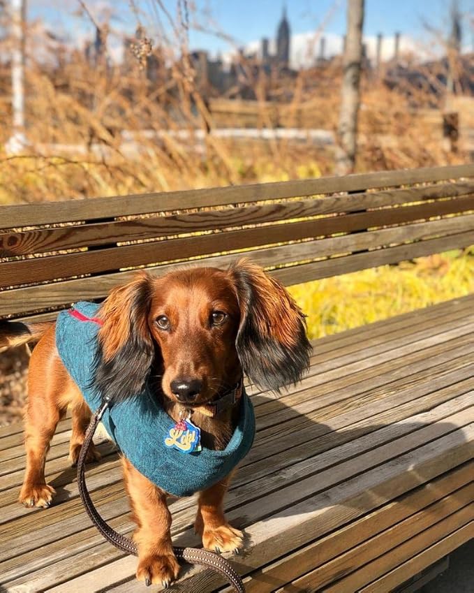 Gooby - Zip Up Fleece Vest, Fleece Jacket Sweater with Zipper Closure and Leash Ring, Turquoise Wash, Small