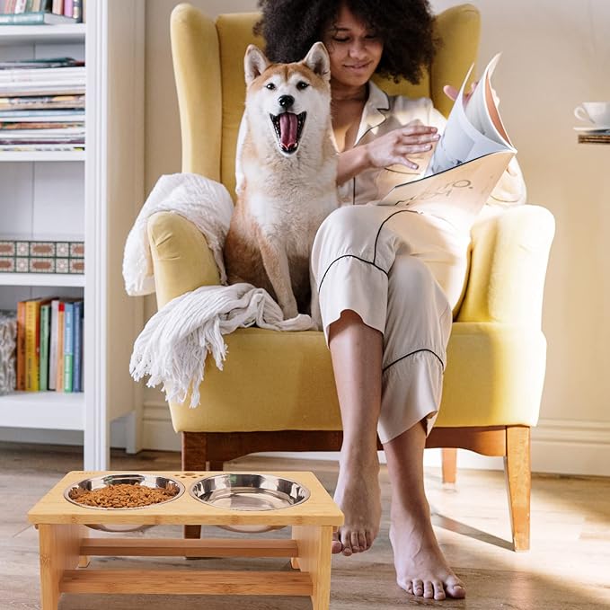 HTB Elevated Dog Bowls,Raised Dog Bowl Stand with 2 Stainless Steel Bowls,Elevated Raised Dog Bowls for Large Medium Small Sized Dogs