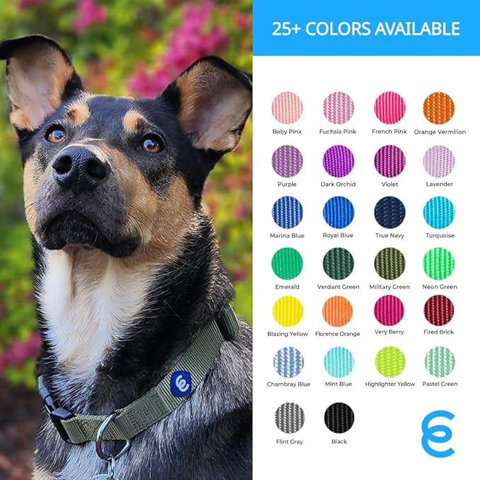 Blueberry Pet Essentials Dog Collar | Adjustable Girl Dog Collars for Medium Dogs | Chambray Blue Puppy Collar | Classic Nylon Dog Collars for Small Dogs | Pet Accessories