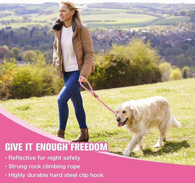 Nylon Rope Dog Leash Reflective, Handmade Braided Strong Dog Lead, Heavy Duty Rope Leash for Medium Large Dogs (5 FT - 3/5" Pink)