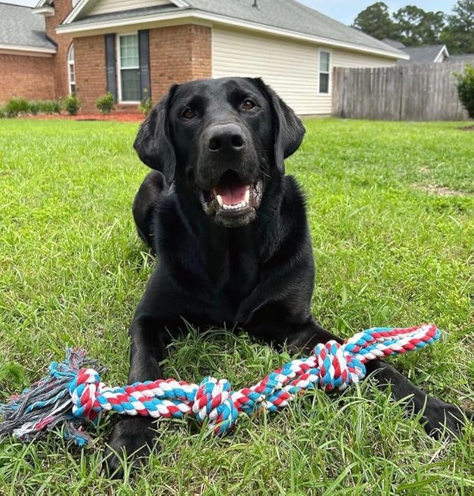 Pacific Pups Products Large Dog Rope Toy for Aggressive Chewers - 23.5" Giant Dog Tug of War Toy for Large Breeds - Durable Big Pull Rope for Teething Puppies and Heavy Duty Chewers