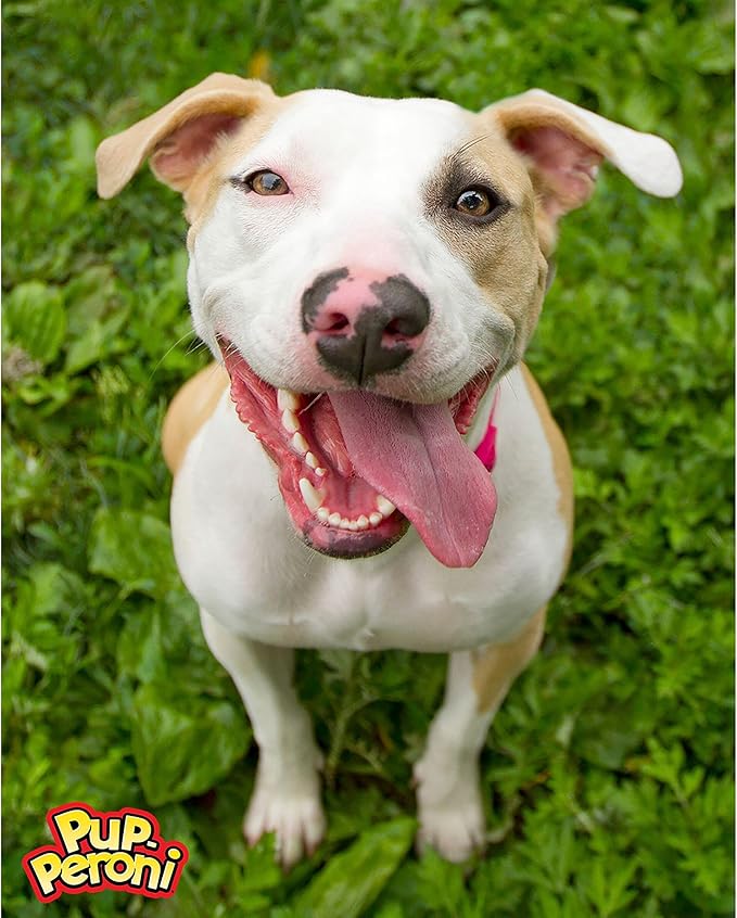 Pup-Peroni Dog Treats, Original Beef Flavor, 5.6 Ounce (Pack of 8), Made with Real Beef